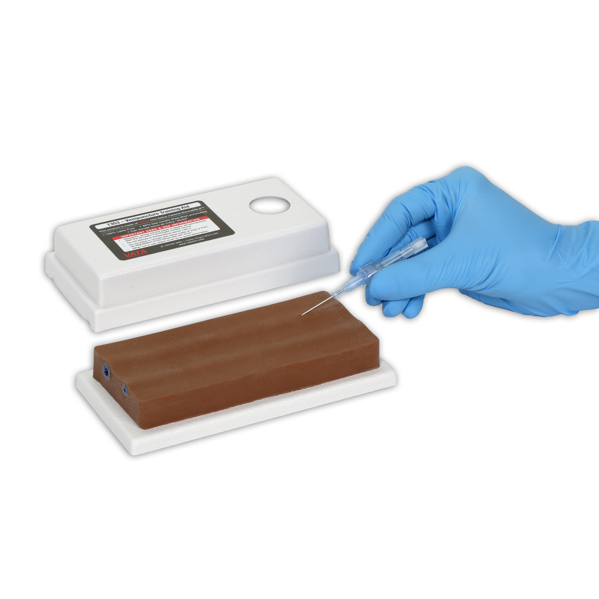 Two-Vein Venipuncture Training Aid - Dermalike II™ Latex Free