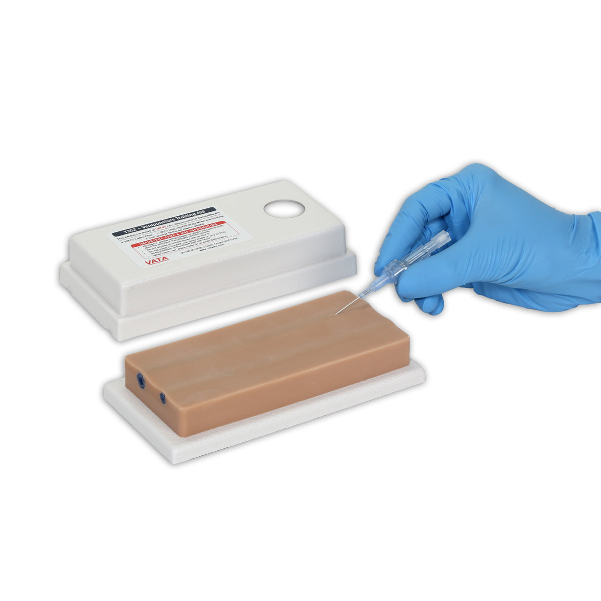Two-Vein Venipuncture Training Aid - Dermalike II™ Latex Free