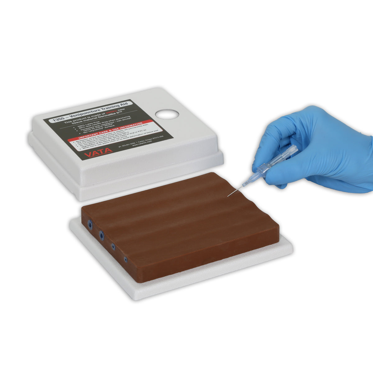 Four-Vein Venipuncture Training Aid - Dermalike II™ Latex Free