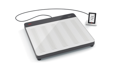 Seca 651 Flat Scales