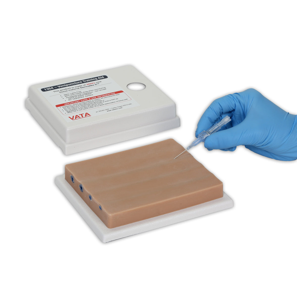 Four-Vein Venipuncture Training Aid - Dermalike II™ Latex Free