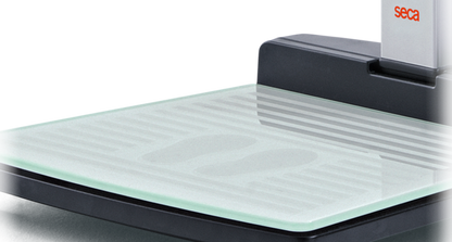SECA 287 Wireless Ultrasonic Measuring Station